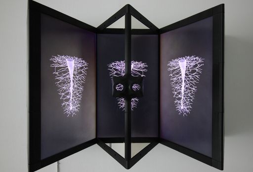 Constrained Forms Stereoscopic Installation