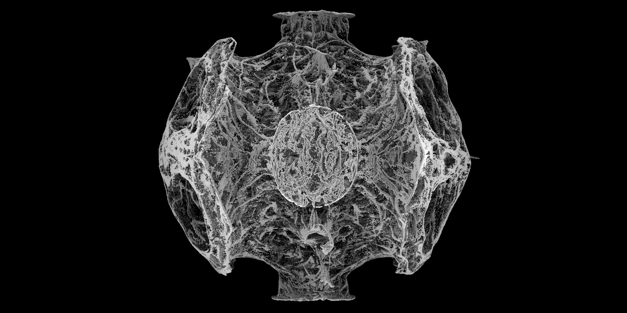 chemotaxis3D9_0002_0293