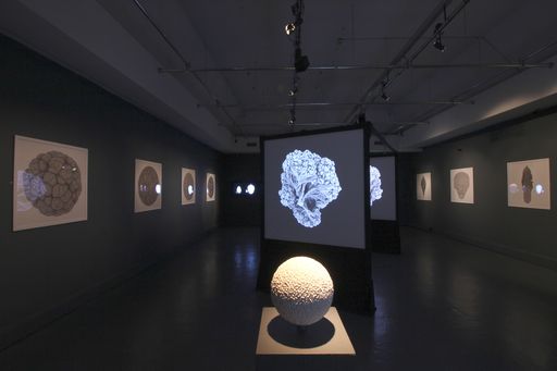 Morphogenetic Creations exhibition at Watermans