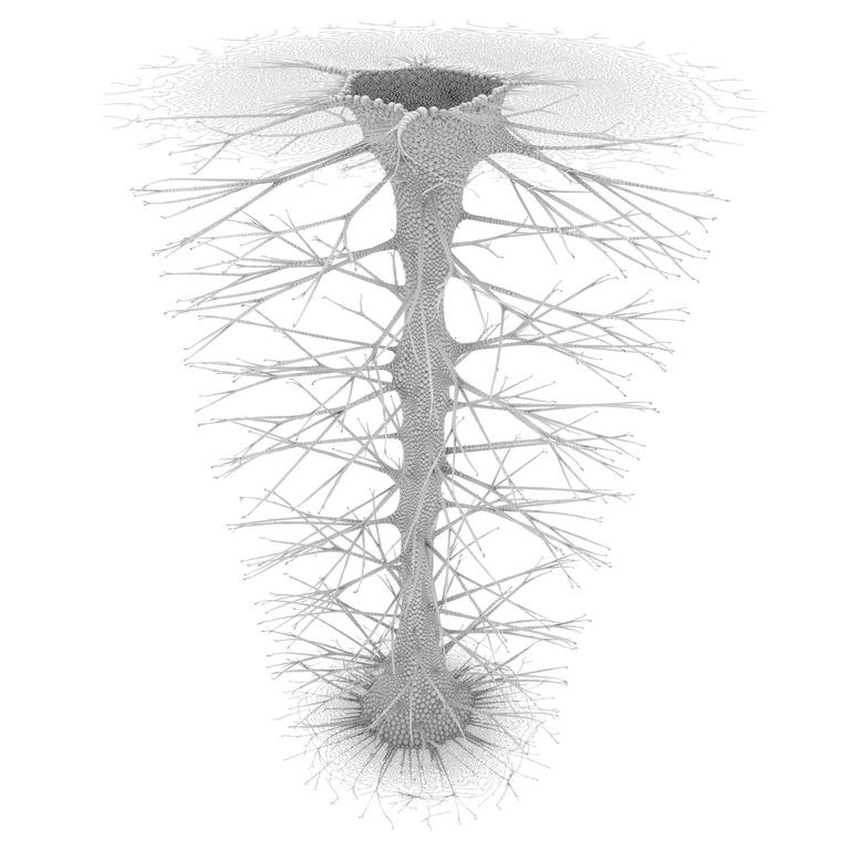 Mutant Vase Form 17_0006_0291