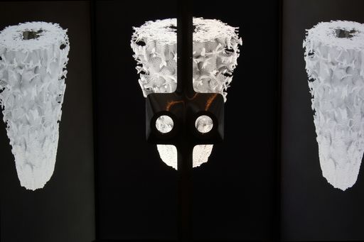 Mutant Vase Forms Stereoscopic Installation