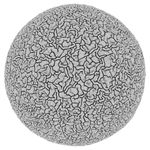 Cellular Form 14_0007_0003