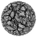 Cellular Form 17_0007_0025