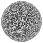 Cellular Form 18_0004_0240