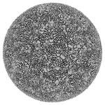 Cellular Form 18_0005_0024