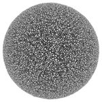 Cellular Form 18_0008_0010