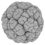 Cellular Form 18_0011_0023