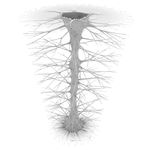 Mutant Vase Form 17_0006_0291