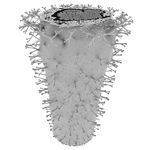 Mutant Vase Form 17_0006_0383