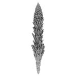 Plantlike Form 20_0001_0160