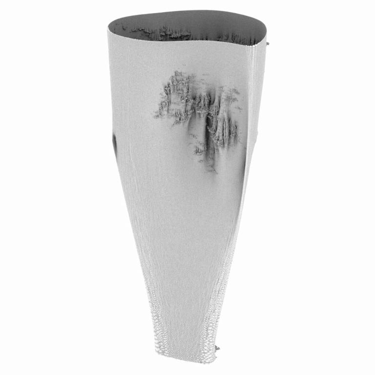 Vase Form 17_0020_1500_40